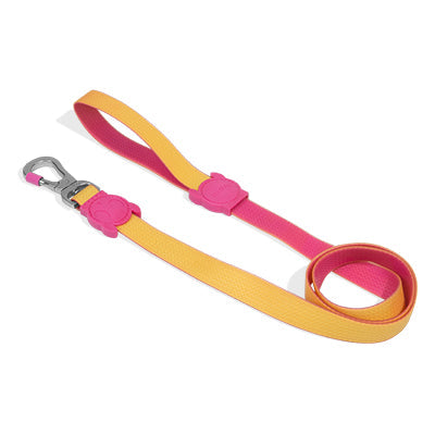 Classic Neopro Lyra | Leash