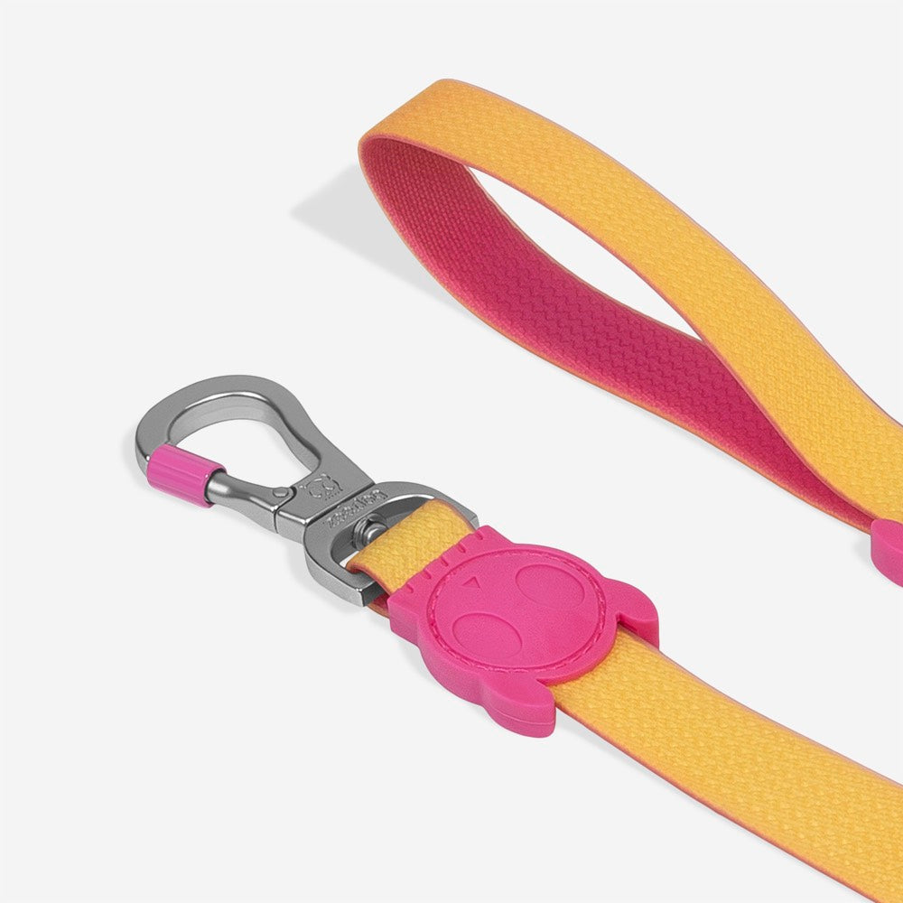 Classic Neopro Lyra | Leash