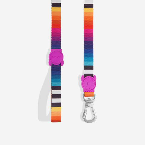 Prisma | Leash