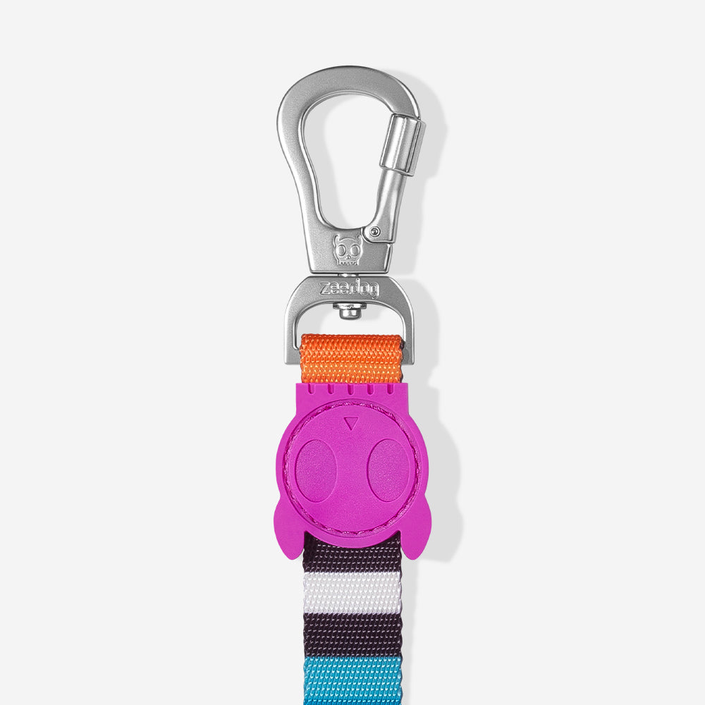 Classic Prisma | Leash