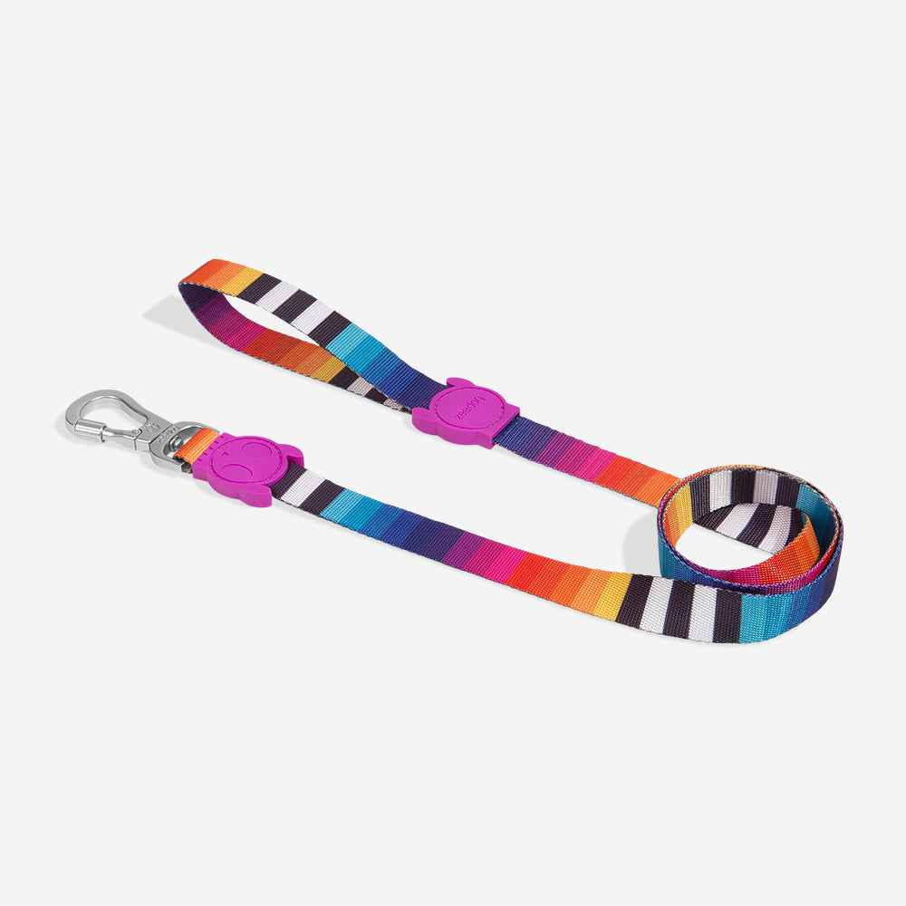 Classic Prisma | Leash