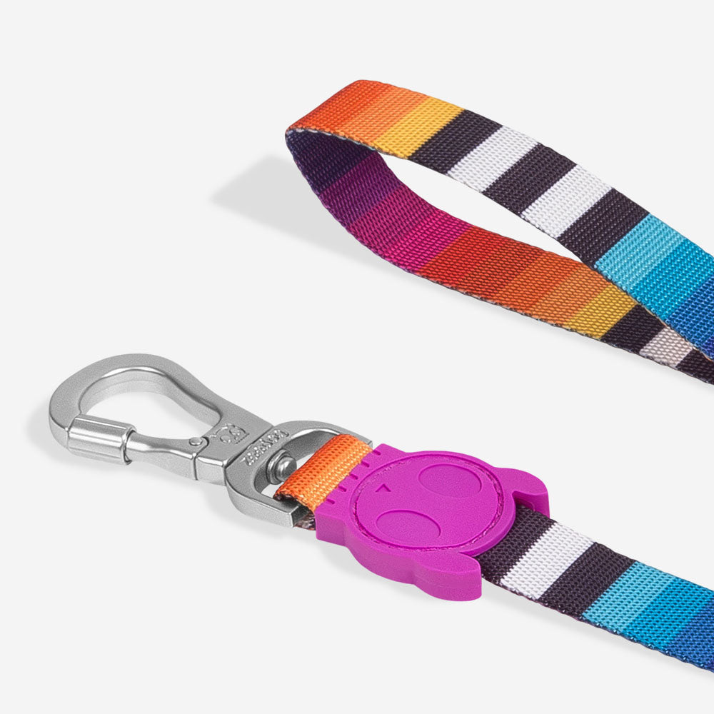 Classic Prisma | Leash