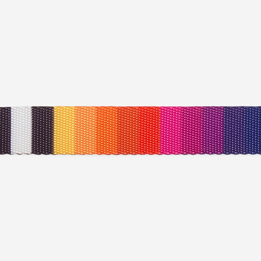 Classic Prisma | Leash