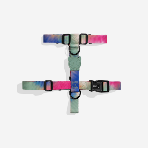 Bliss | H Harness