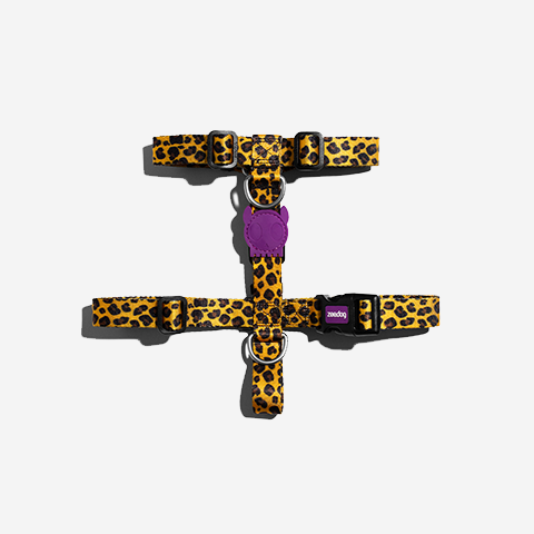 Honey | H Harness
