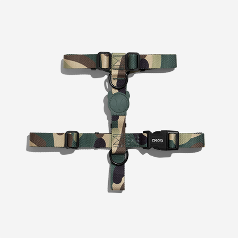 Jet | H Harness