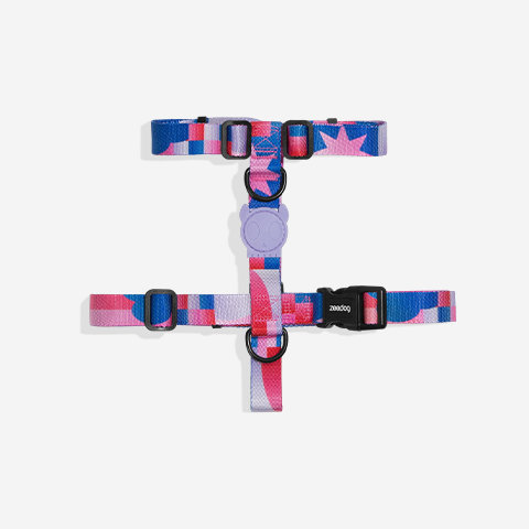 Noon | H Harness