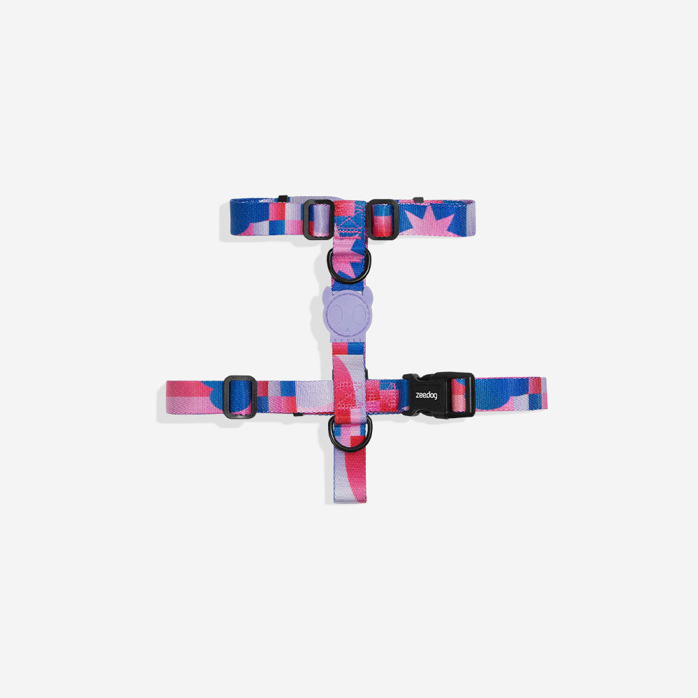 Noon | H-Harness
