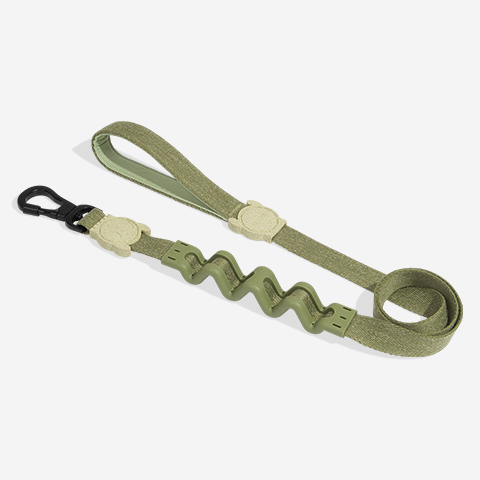 Moss | Ruff Leash 2.0
