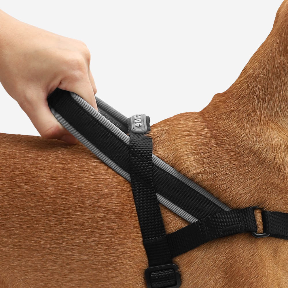 Classic Gotham | SofterWalk Harness
