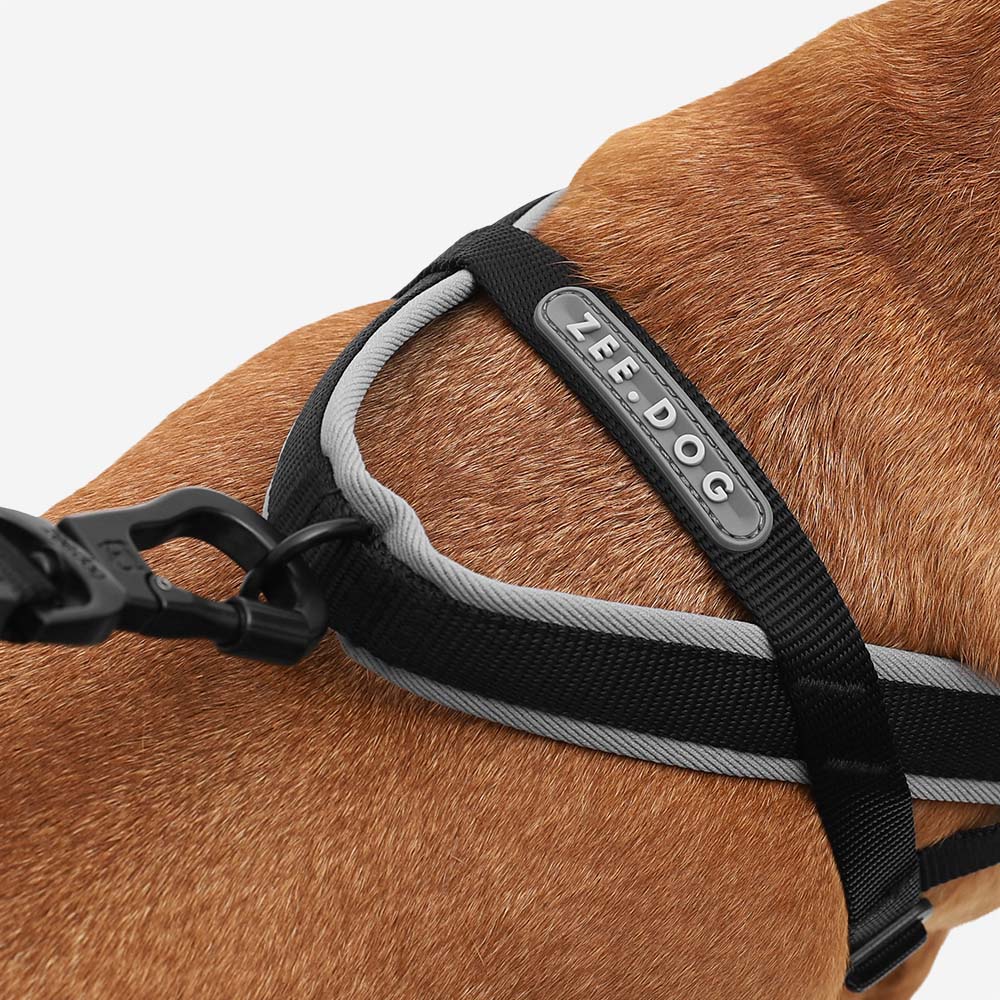 Classic Gotham | SofterWalk Harness