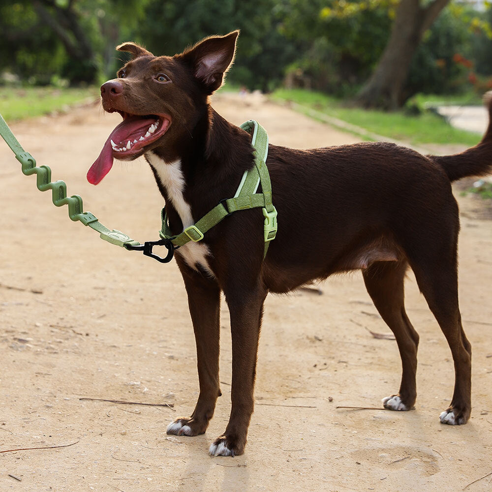 Naturals Moss | SofterWalk Harness