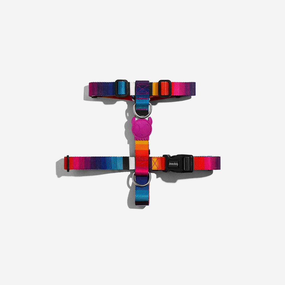 Classic Prisma | H-Harness