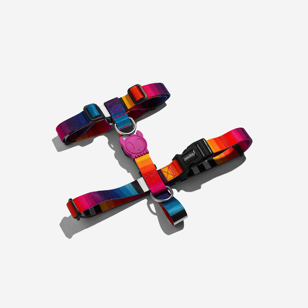 Classic Prisma | H-Harness
