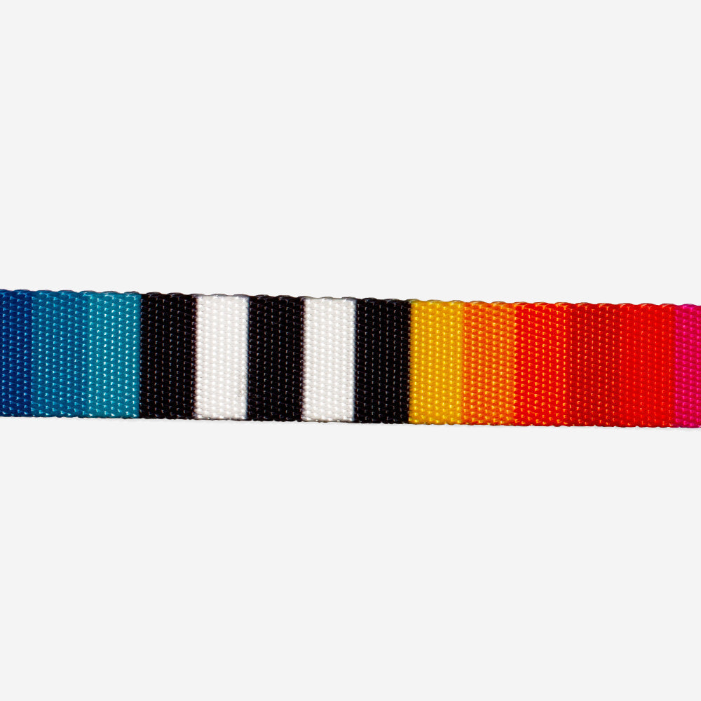 Classic Prisma | H-Harness