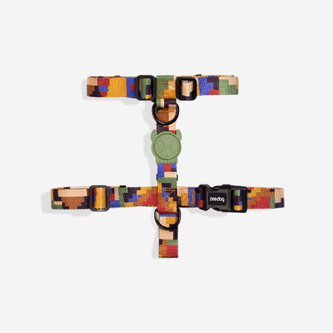 H-Harnesses