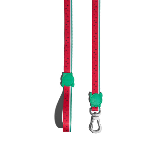 LOLA - Leash - Large