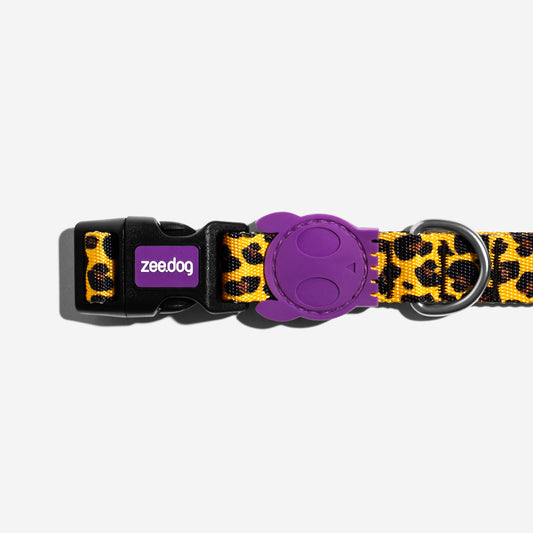 Classic Honey | Collar