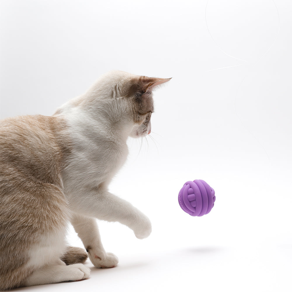Cat Treat Ball | Zee.Cat