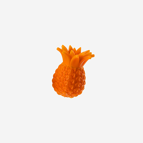 Pineapple | Zee.Pinz
