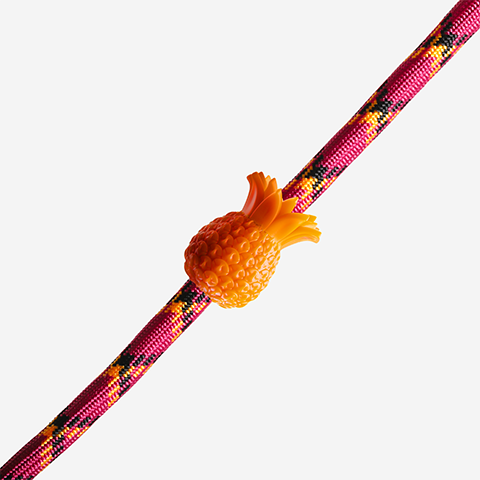 Pineapple | Zee.Pinz