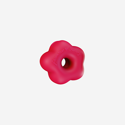 Samba Pink | Zee.Pinz