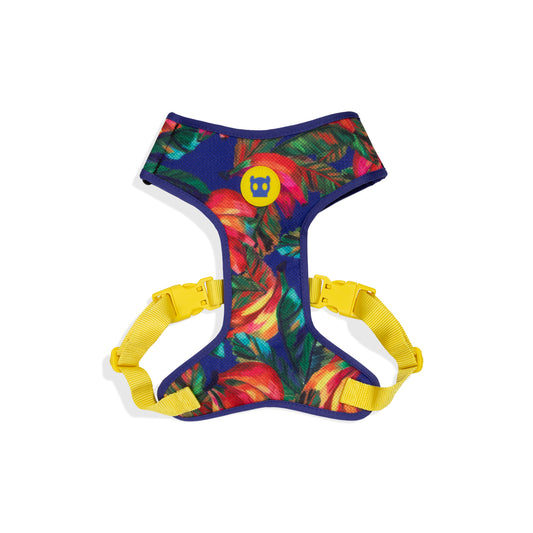 Samba | Adjustable Air Mesh Harness