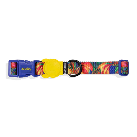 Samba | Collar