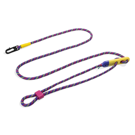 Samba | Handsfree Leash