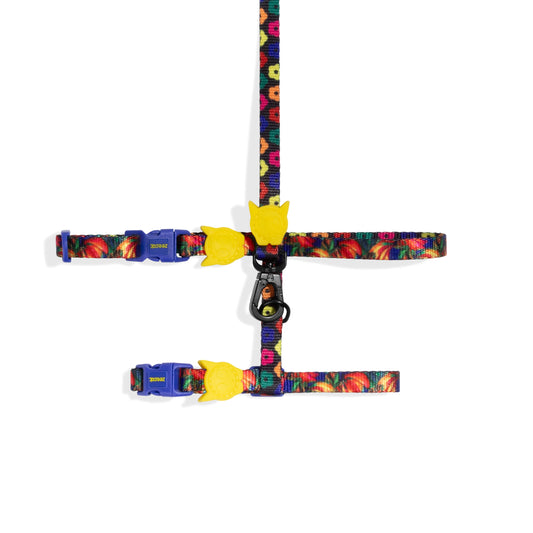 Samba | Cat Harness & Leash Set