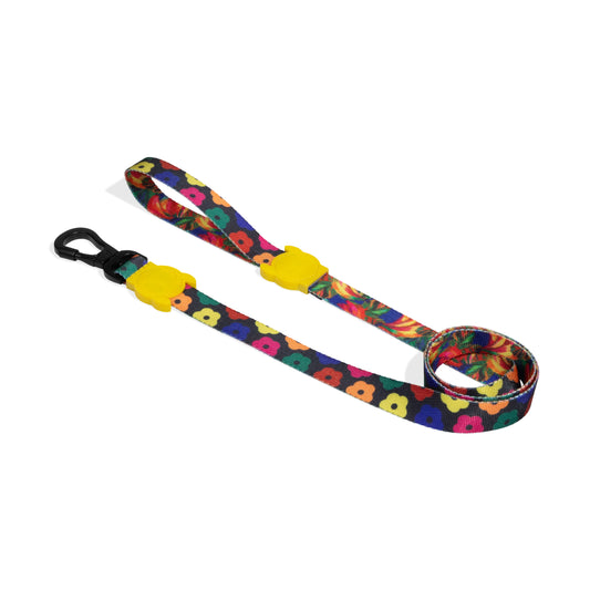 Samba | Leash