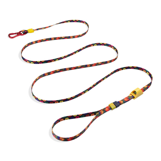 Samba | Long Leash