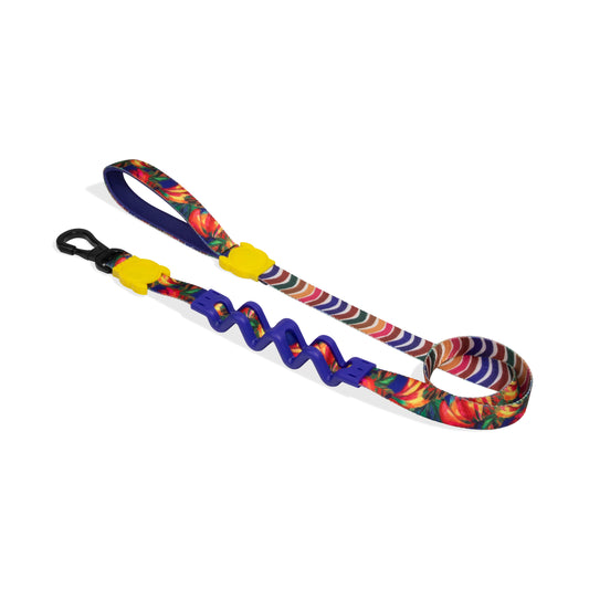 Samba | Ruff Leash