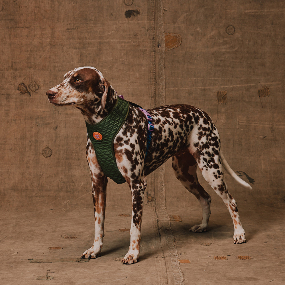 Reebok Trekk Adjustable Air Mesh Harness