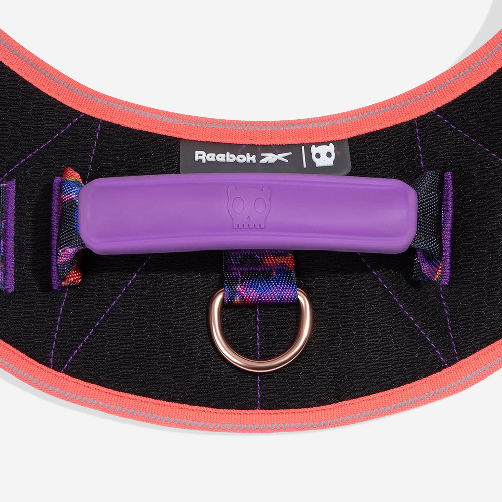 Reebok Court | FlyHarness