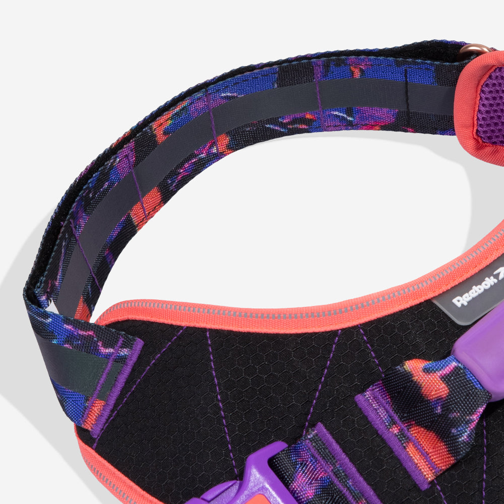 Reebok Court | FlyHarness