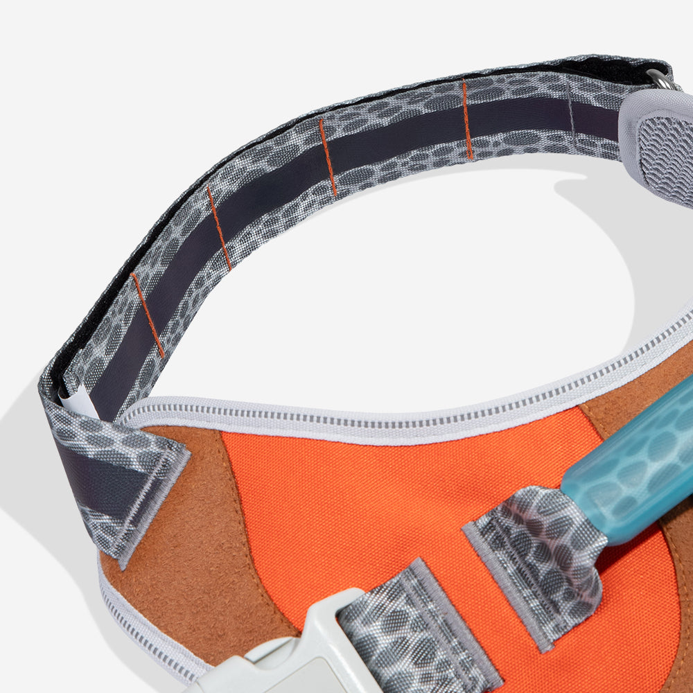 Reebok Suede | FlyHarness