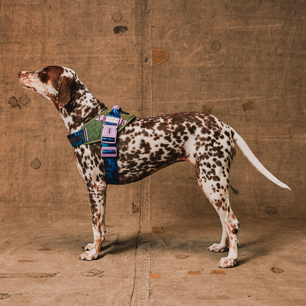 Reebok Trekk | FlyHarness