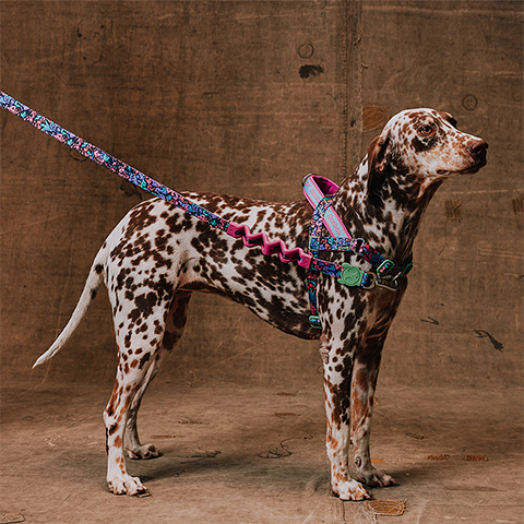 Reebok Aerobic SofterWalk Harness