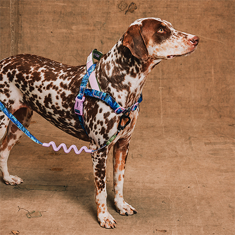 Reebok Trekk SofterWalk Harness