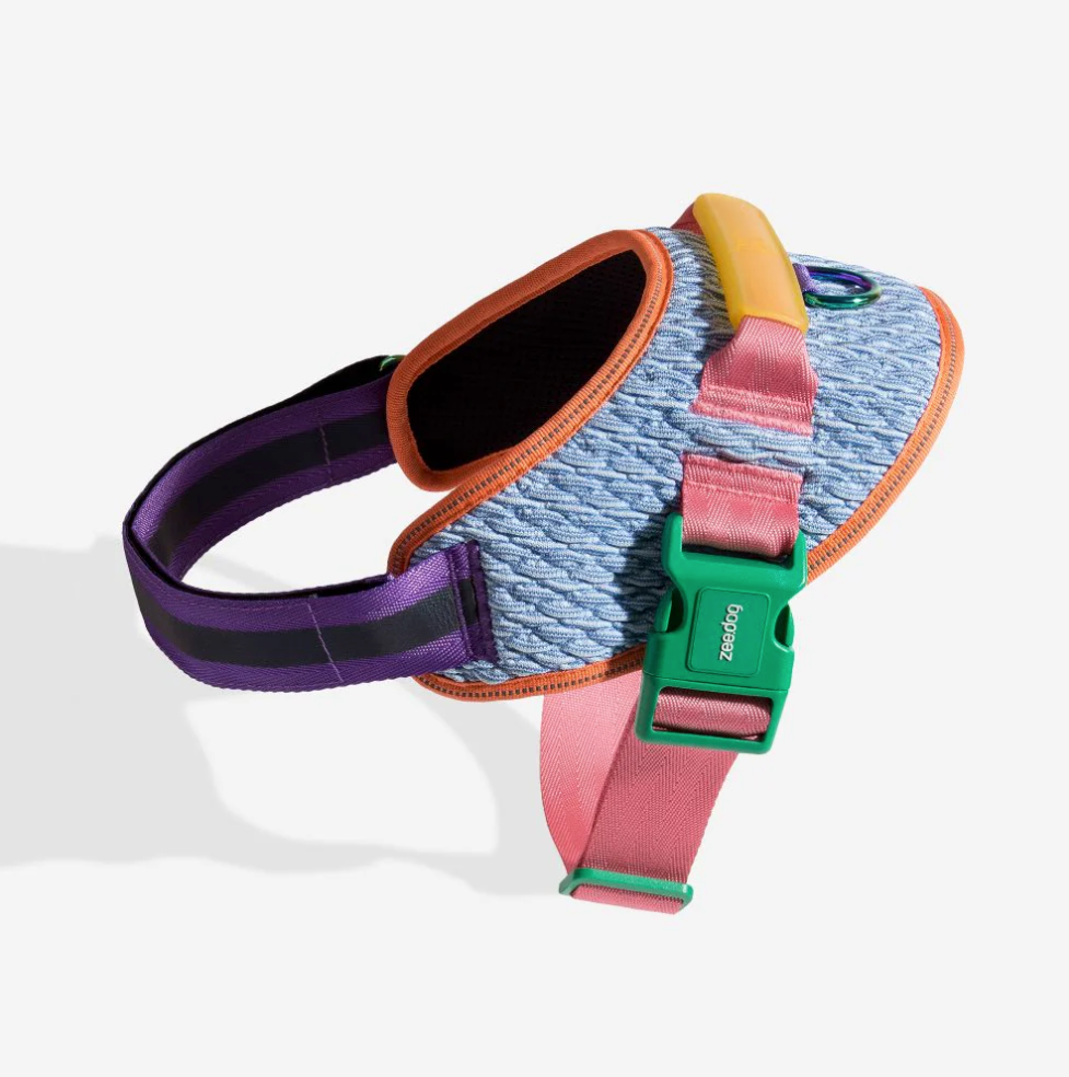 Galaxy | FlyHarness
