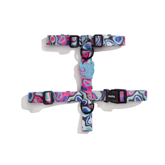Blast | H-Harness