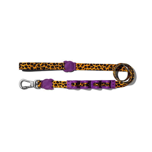 Honey | Ruff Leash