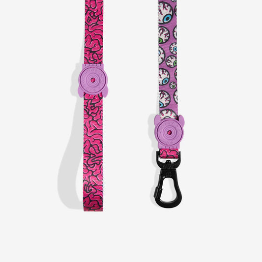 Brain | Leash