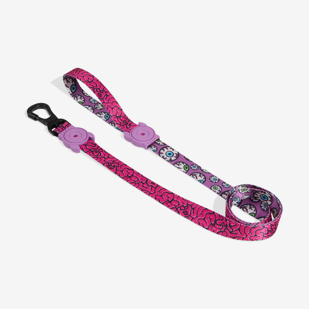 Brain | Leash