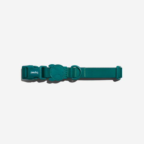 Classic Neopro Amazonia | Collar