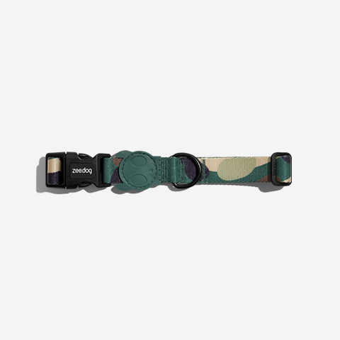 Jet | Collar