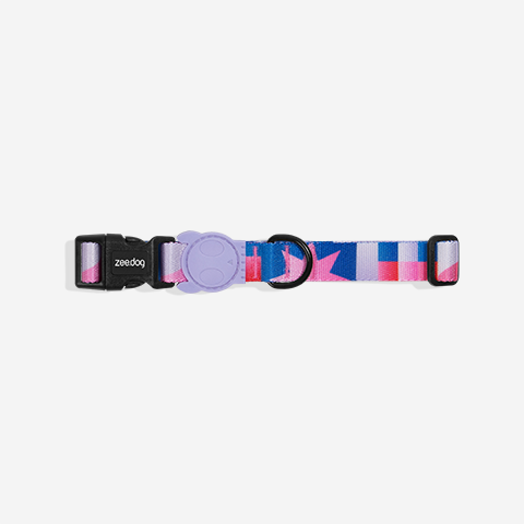 Classic Noon | Collar