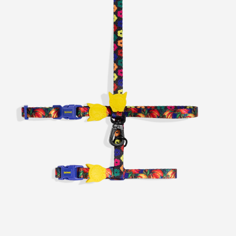 Samba | Cat Harness & Leash Set