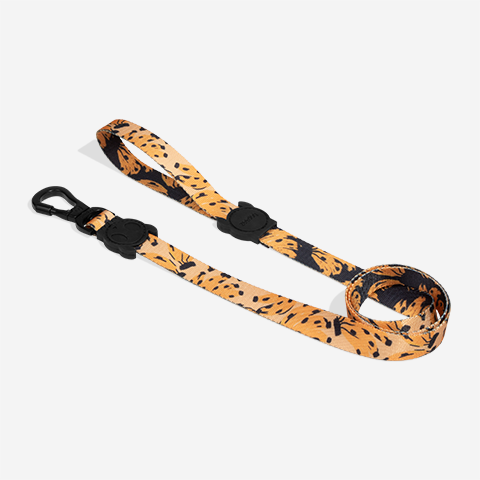 Bossa Banana | Leash